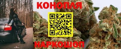 ALPHA PVP Камышлов
