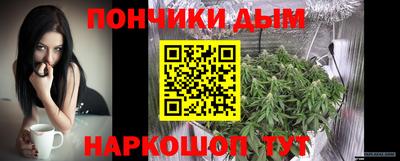 ALPHA PVP Камышлов