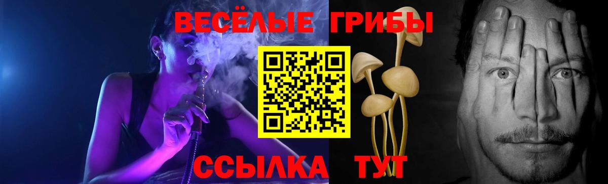Черняховск  Галлюциногенные грибы Cubensis  купить наркотик  Вход с VPN 